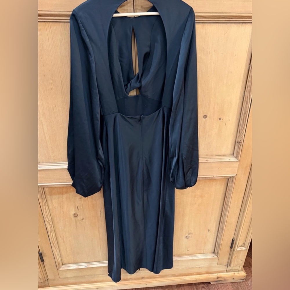 Significant Other Demi Backless Column Gown - Picture 4 of 5